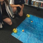 Social issue makerspace activity - Australian migrants, introducing beach culture